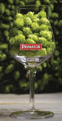 Primátor P17