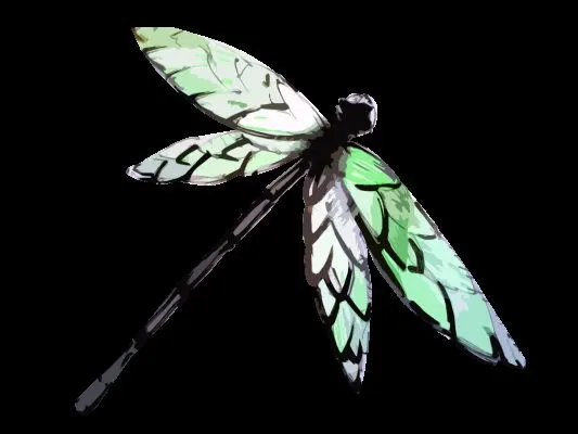 Dragonfly Indian Summer