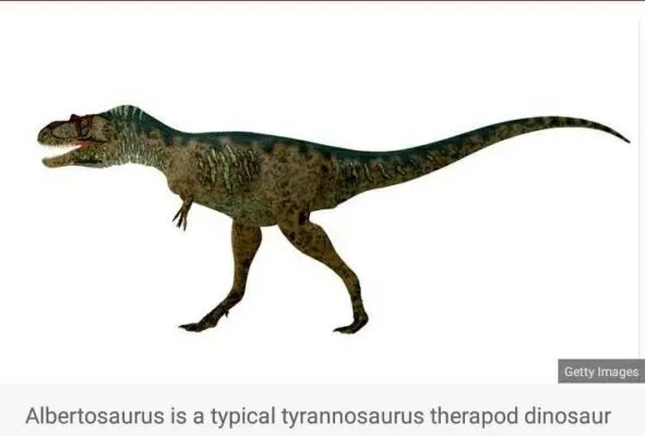 Albert Albertosaurus