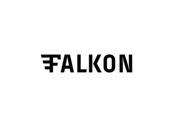 Falkon Sourberry #2: Blackcurrant Gose