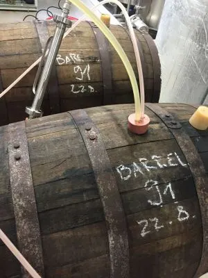 Lucky Bastard Barrel IPA