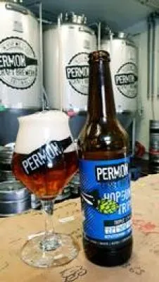 Permon Hopgunic Triple IPA