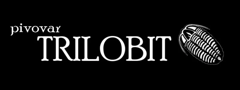 Trilobit Gose černý rybíz