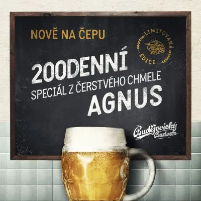 Budweiser 200denní speciál z čerstvého chmele Agnus