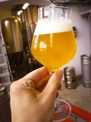 Falkon Send Nudes Sour IPA