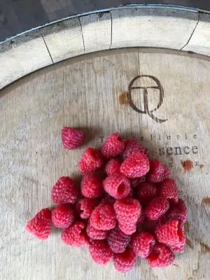 Zichovec Sour Raspberry Barrel Aged Porto