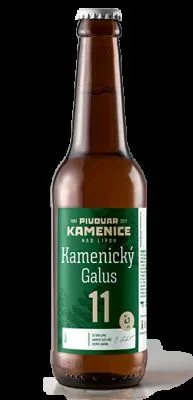 Kamenice Galus