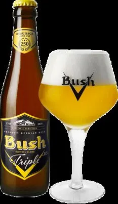 Dubuisson Bush Tripel