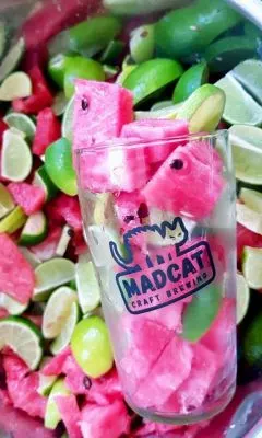 MadCat Melon & Lime Sour Ale