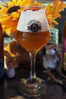 Topolská Brut IPA
