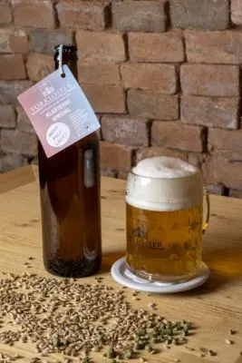 Vorkloster India Pale Lager