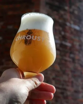 Chroust Talus