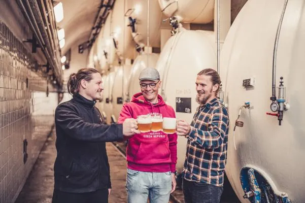 Volt Budweiser Budvar Kraťas