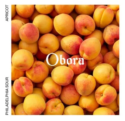 Obora Philadelphia Sour Meruňka