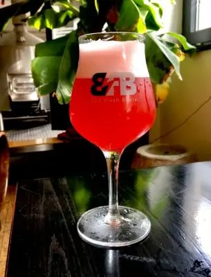 Bad Flash Podél plotu Sour Ale