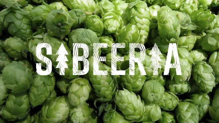 Sibeeria Raintown