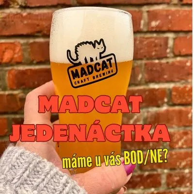 MadCat Jedenáctka