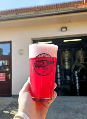 Permon Černý rybíz Sour
