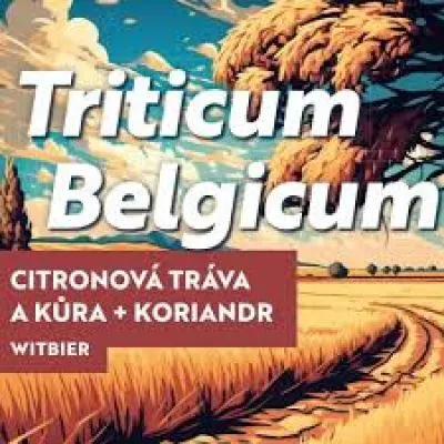Castellum Triticum Belgicum
