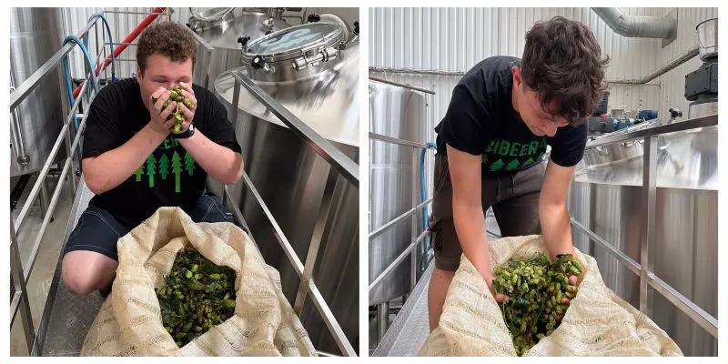 Sibeeria Fresh Hop Czech Pilsner 2024