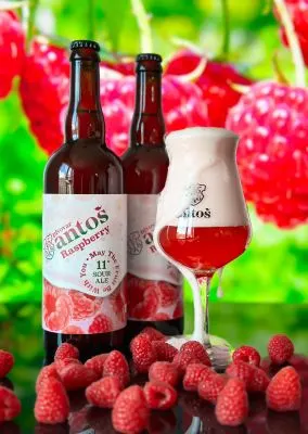 Antoš Raspberry