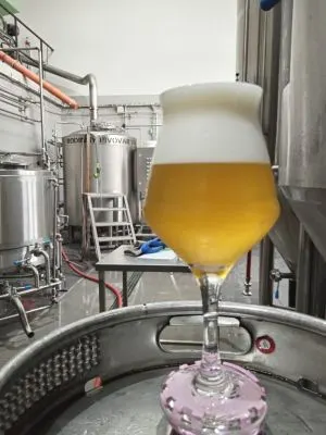 Vik Summer Ale
