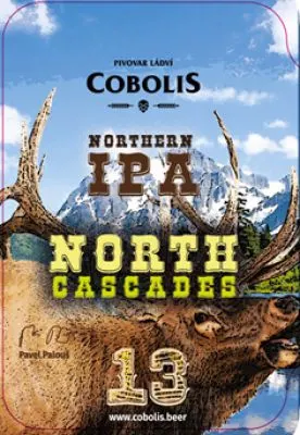 Cobolis North Cascades Aurora