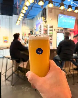 Other Half Citra + Nectaron