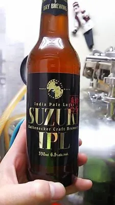 Kaltenecker IPL Suzuki