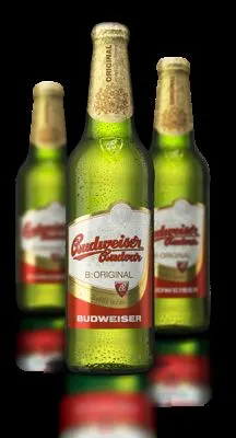 Budweiser Budvar B:Original