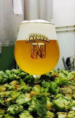 Matuška Wet Hop Světlý speciál